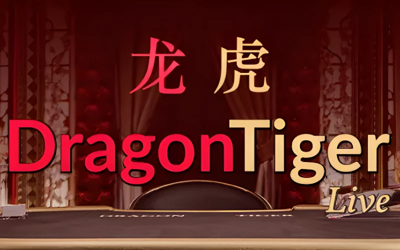 Experience fast-paced Dragon Tiger Live action at Big Baazi.