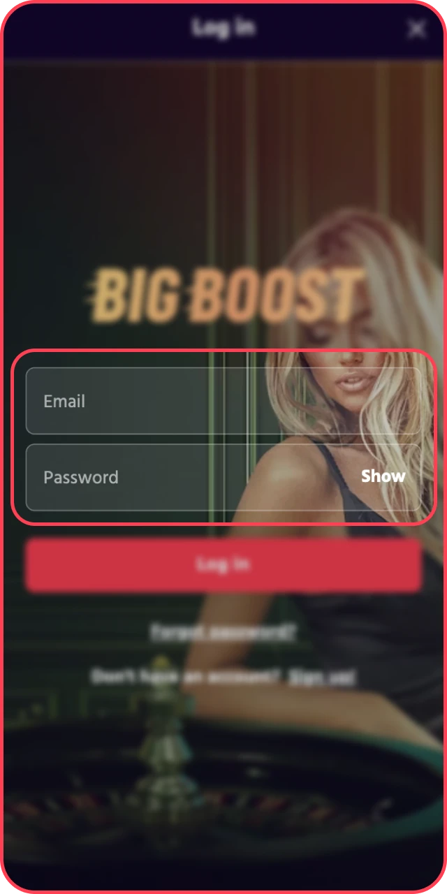 Enter your login credentials to verify your Big Baazi casino identity.