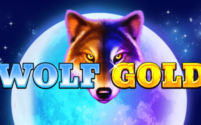 Hunt for big prizes in the Wolf Gold slot at Big Baazi Casino.